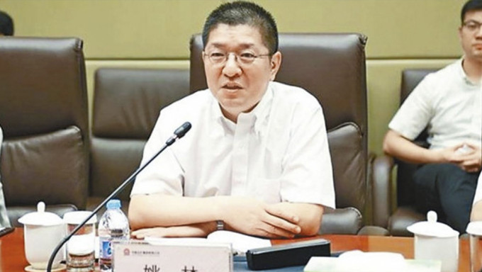 中國鋁業集團有限公司前董事長姚林。