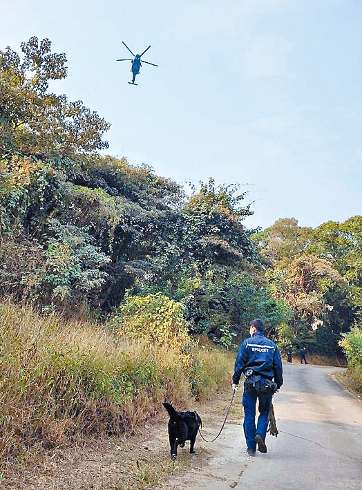 ■直升机与警犬队在沙田陆空巡逻。