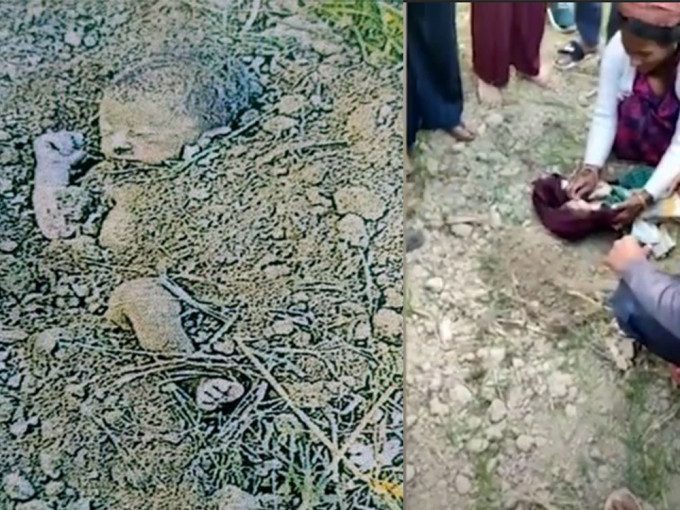 印度農民在田裡發現嬰兒被活埋。網圖