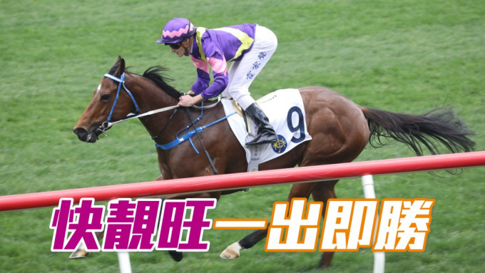 「快靚旺」一出即勝