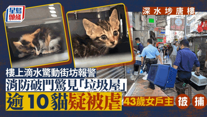 虐猫｜深水埗唐楼滴水惊动街坊报警 消防破门揭「垃圾屋」逾20猫疑被虐