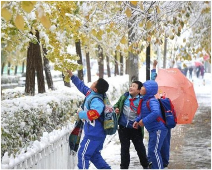 新疆出现大风及降雪影响火车行驶。