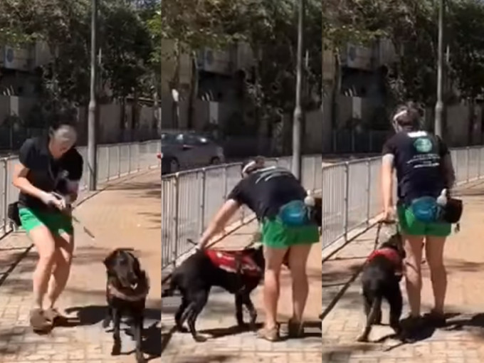 影片显示一名导盲犬训练员为让狗只转身，大力扯起导盲犬狗带。网上影片截图