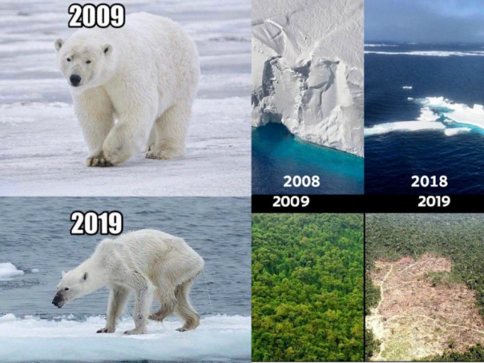 10年間北極熊、冰川、熱帶雨林都無一幸免。網上圖片