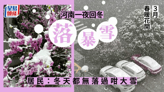 網民拍下河南下雪的情況。微博圖
