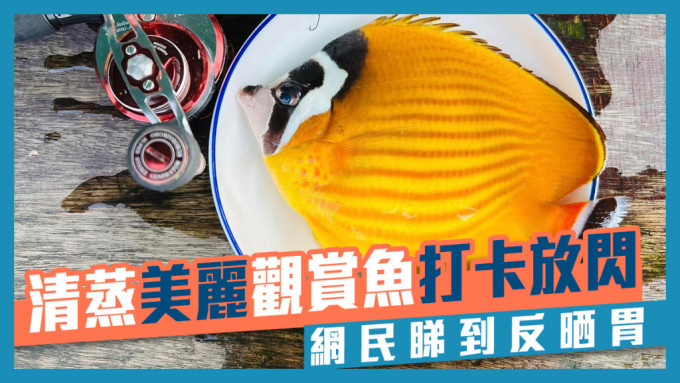 香港街市鱼类海鲜研究社FB图片