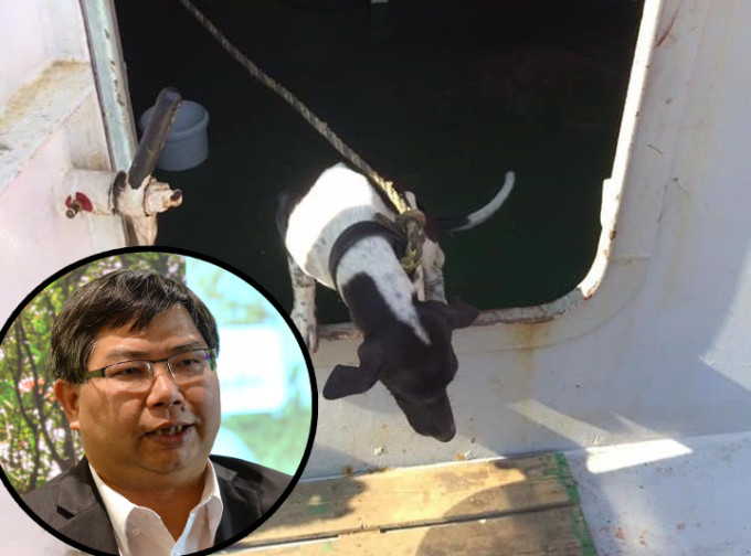 漁護署署長梁肇輝(小圖)表示，署方正檢討泰國來港小狗被人道毀滅事件的做法。  資料圖片