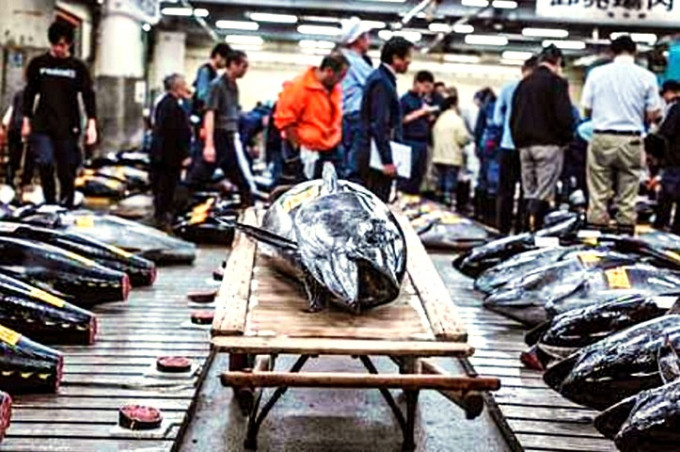 築地魚市場落實遷往豐洲。資料圖片