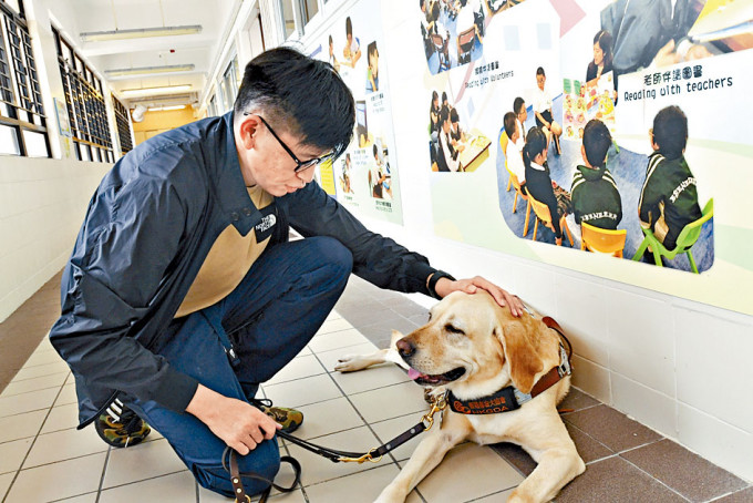 导盲犬「靓靓」是曾冠全的好拍档，亦是他与同学成为朋友的契机。　褚乐琪摄