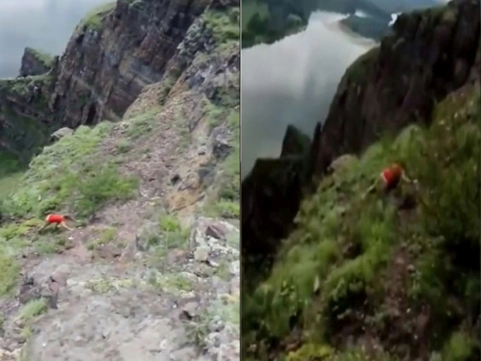 俄女爬陡峭岩壁拍照，友人眼前失足滑落悬崖。(网图)