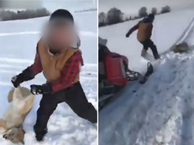 加拿大亚伯达省两名男孩在社交网络上传了一段虐狼致死的影片。(网图)