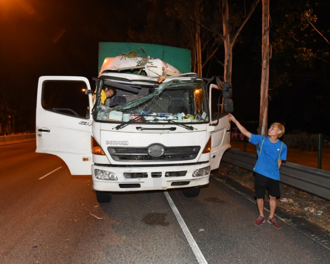 新田公路塌樹，貨車壓毀司機輕傷。