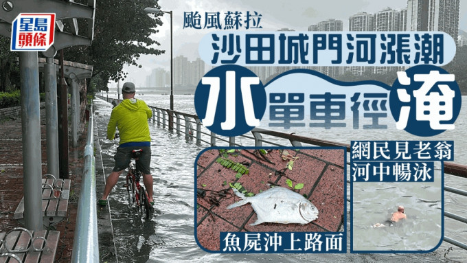 城門河潮漲，水淹單車徑。
