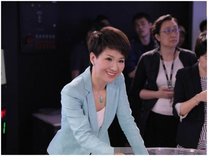 央視女主播劉欣再登美媒節目，大談中美貿易和香港議題。網圖