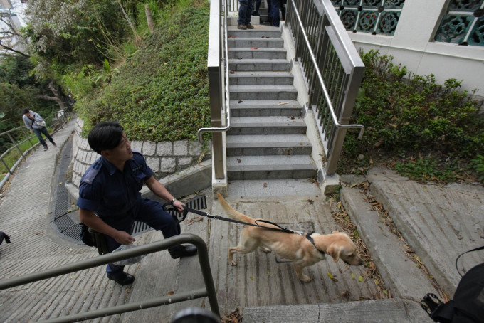 搜索犬到场协助。黄文威摄