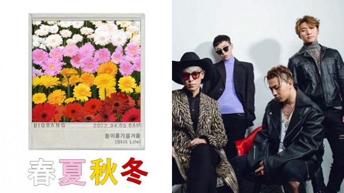 BigBang新歌以白、粉红、黄、红四色盛放的雏菊为宣传海报。