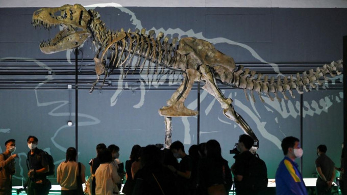 科学馆将举行大型恐龙展览。资料图片