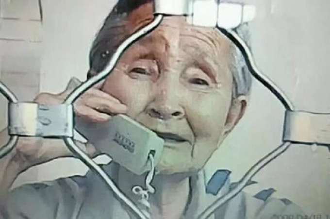 85歲的李淑賢，因種植的樹木被砍上訪，更被尋釁滋事罪判入獄兩年。網圖