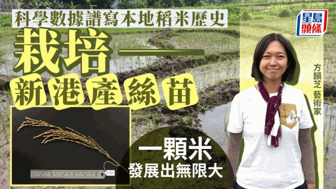 「大地予我」本地稻米纪录计划计划经理、艺术家方韵芝踏入稻田，与团队栽培出新的本地丝苗，共同谱写香港稻米的历史。