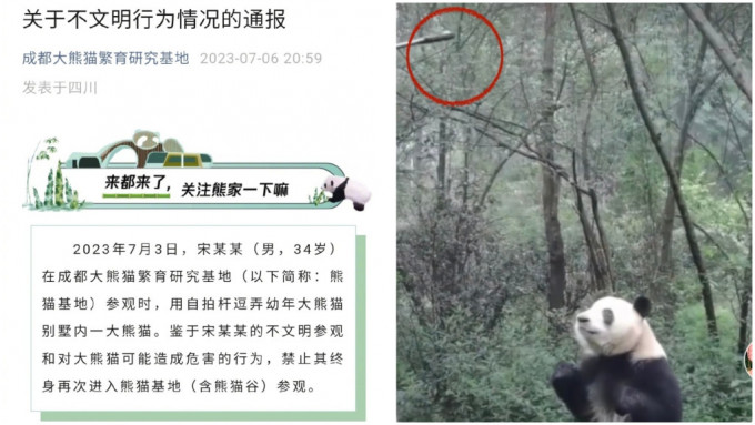 游客用自拍杆逗熊猫被罚不能再入熊猫基地。