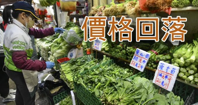 政府预计本港蔬菜价格会进一步回落。（资料图片）