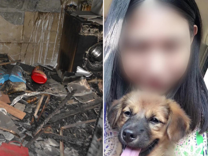 上海杀妻焚尸案揭爱犬冲入火海救主牺牲。（网图）