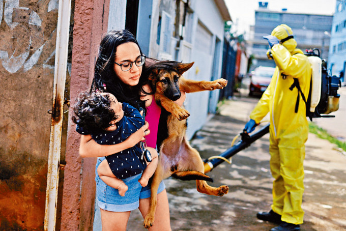 巴西利亞周三噴灑殺蟲劑滅蚊，女子帶同女嬰和狗走避。