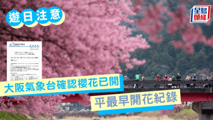 大阪气象台确认樱花已开花 与2021年并列最早