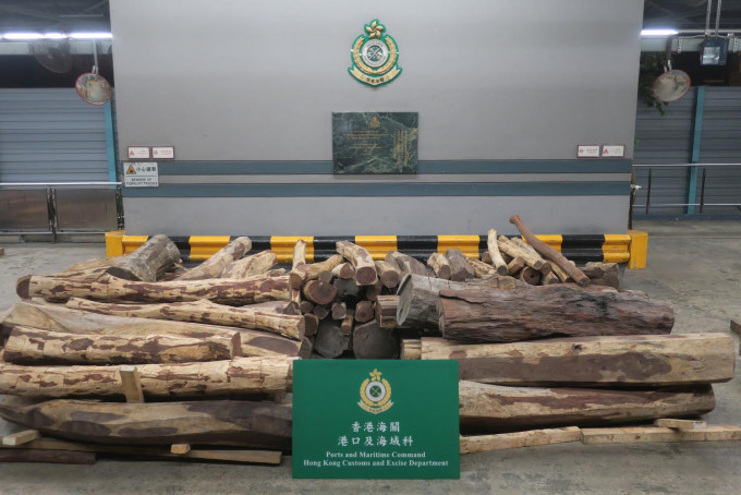 检获的怀疑交趾黄檀木材，估计市值约130万元。