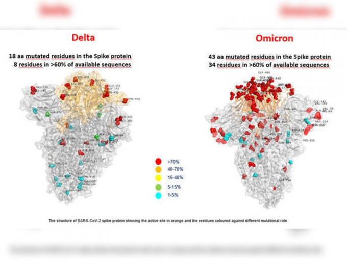 Omicron與Delta變異對比圖。網圖