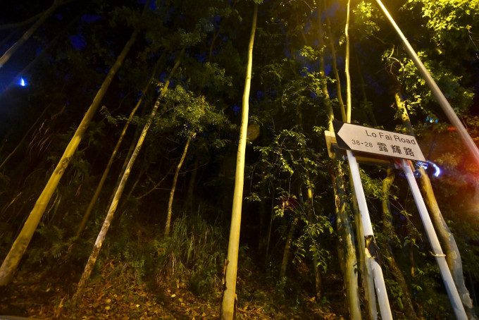 大埔汀角路、露輝路交界山坡。