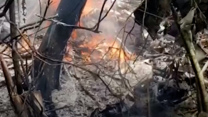 社交平台上流传的影片显示飞机坠毁后，残骸正在燃烧。网上图片