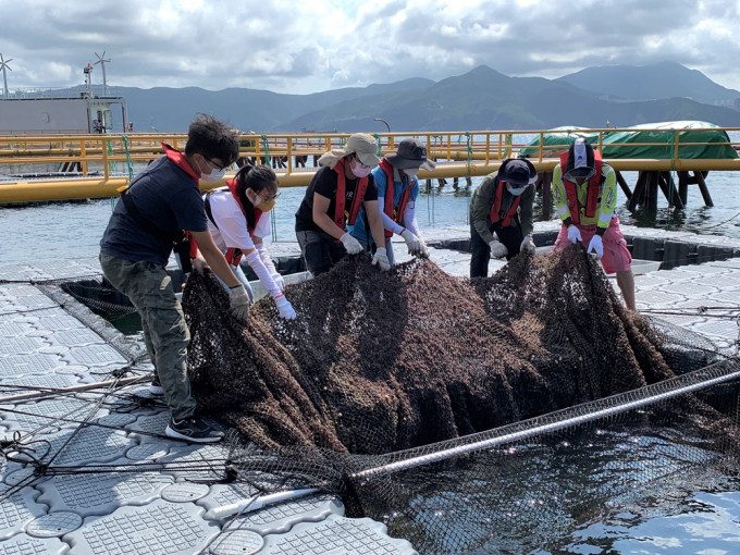 漁農自然護理署今年在東龍洲魚類養殖區設立現代化海產養殖示範。漁護署圖片