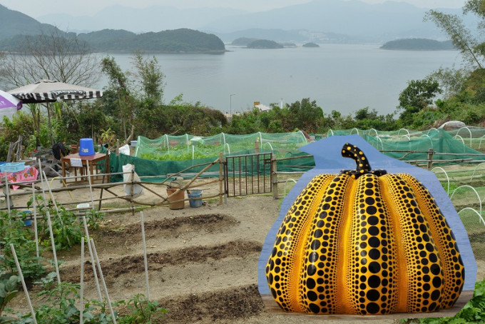 政府消息人士指，旅遊事務署參考日本瀨戶內海藝術祭，搞鹽田梓藝術祭。資料圖片