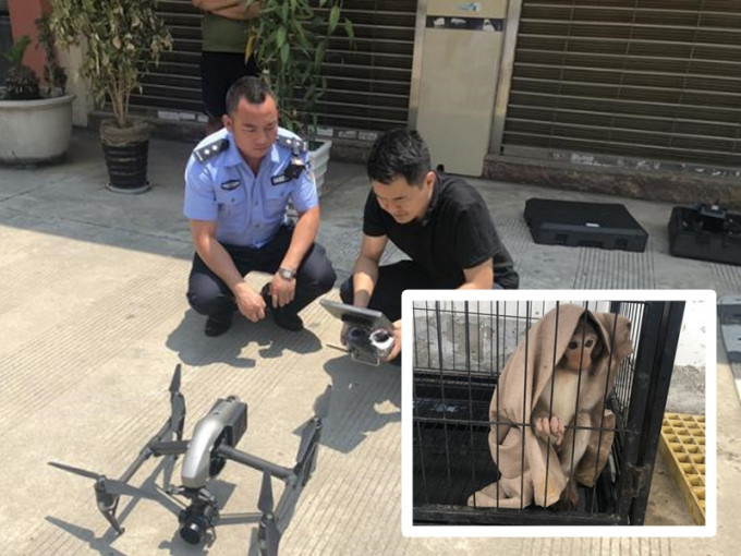 雲南警巧用無人機破獲非法圈養野生獼猴案。 網圖