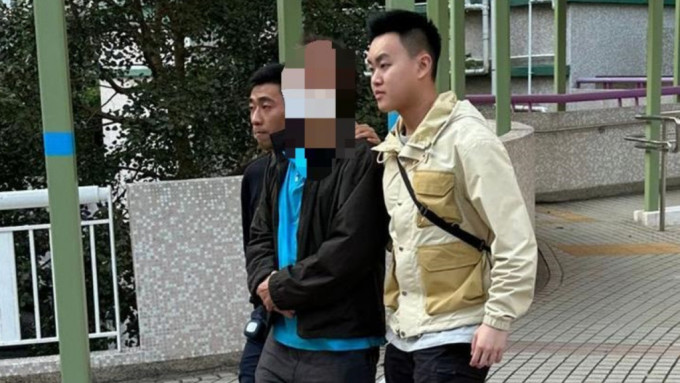 蓄意破坏邮政车侧镜 丽瑶邨64岁男被捕。警方图片