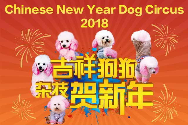 中國狗戲團原定於明年2月舉行「吉祥狗狗雜技賀新年」表演。網圖