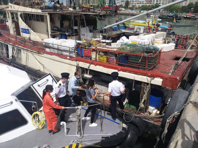 行動中，食環署拘捕兩艘漁船負責人。政府新聞處圖片