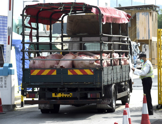 發言人說，政府及上水屠房會致力確保屠房運作暢順，活豬供應不受影響。資料圖片