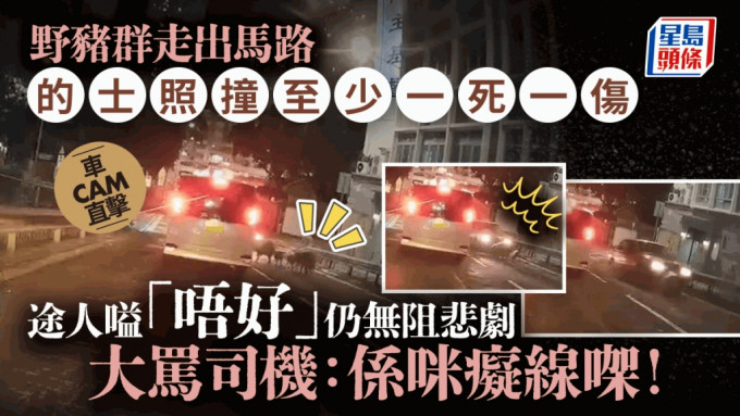 車cam直擊｜香港仔野豬家族捱的士撞 至少一死一傷 途人大叫：係咪癡線㗎