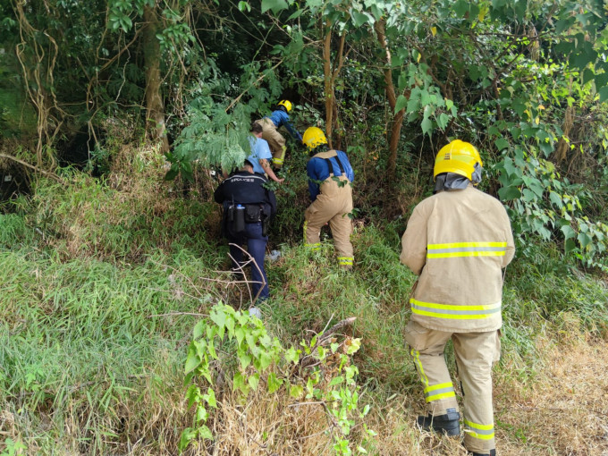 消防及警方調查期間發現一隻死去的野豬。 梁國峰攝