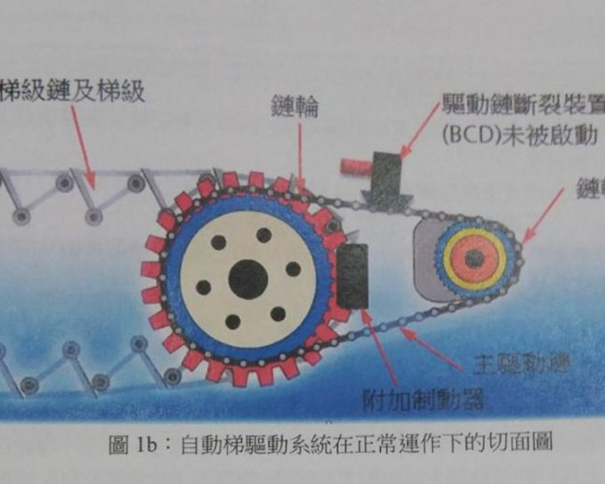 調查報告指扶手電梯「主驅動鏈」事發時由於金屬疲勞斷裂。