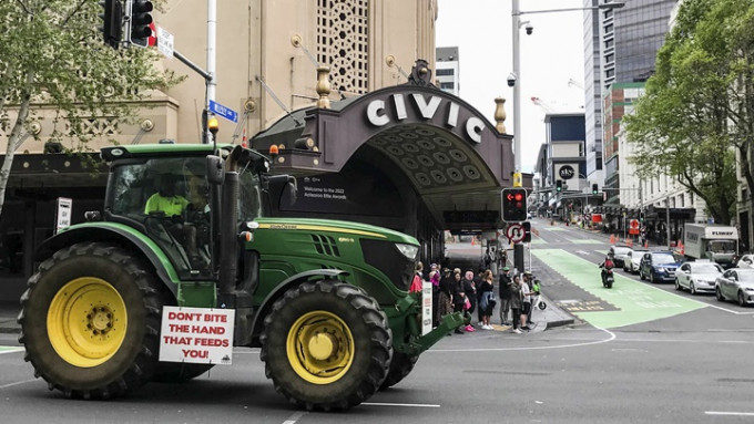 纽西兰大批农民到全国多个主要城市示威，要求撤销对牛羊排放物徵税的计画。AP图片