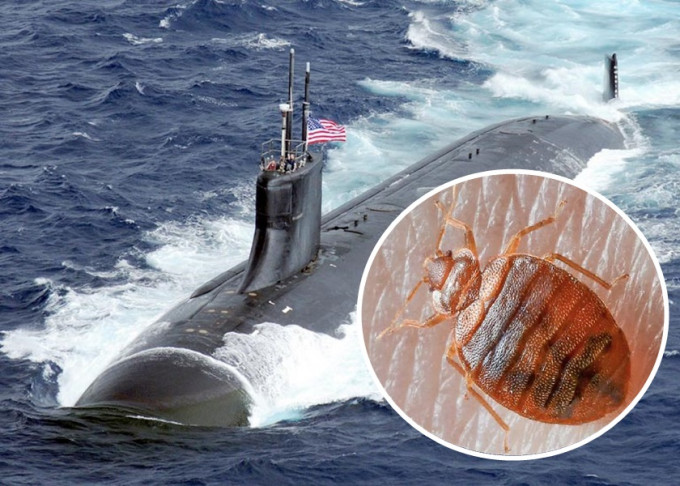 美軍核潛艇康涅狄格號被揭床蝨為患，困擾船員近一年。美國海軍圖片、網圖