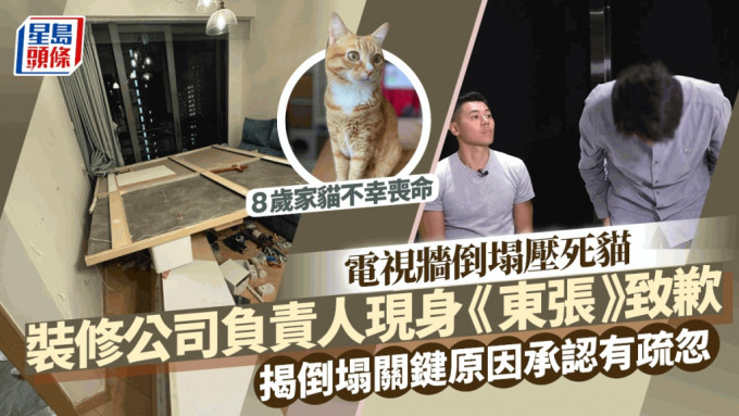 电视墙倒塌压死猫丨装修公司负责人现身《东张》鞠躬致歉 揭倒塌关键原因认有疏忽