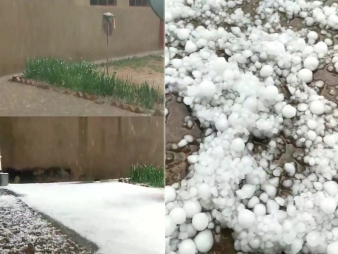 冰雹落入田间地头，地上瞬间如同铺了一层白雪。(网图)