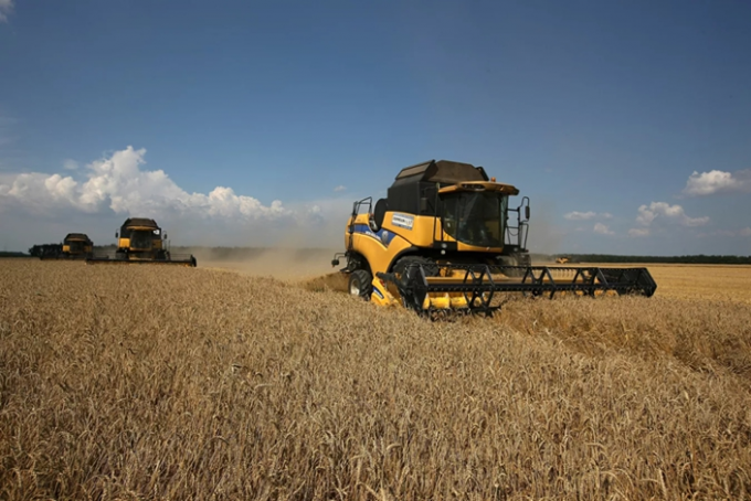 俄羅斯小麥出口量位居全球之首。