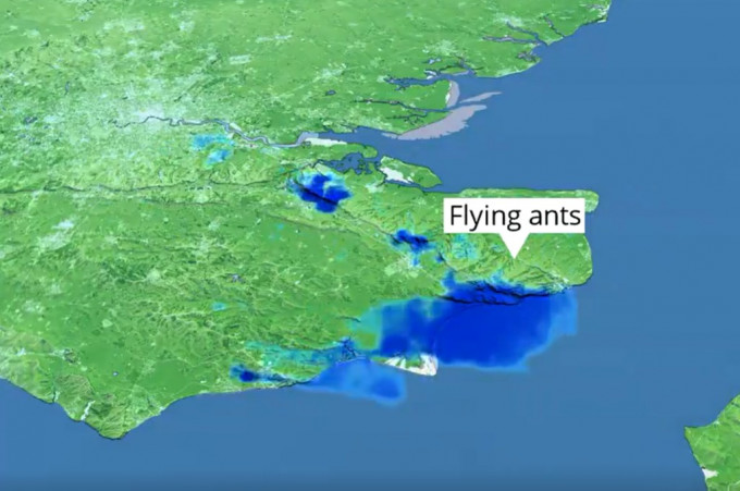 英國氣象雷達誤測「飛蟻大軍」為雨雲。 英國氣象局Twitter影片截圖