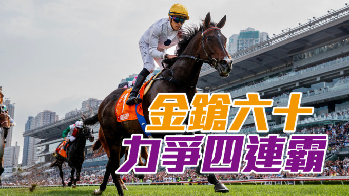 香港马王「金枪六十」周日将在沙田竞逐富卫保险冠军一哩赛，力争再破纪录连续四届胜出此赛。
