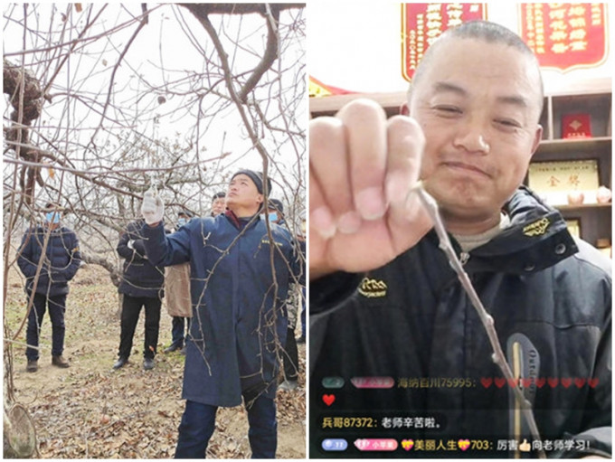 江苏徐州一名43岁果农，在直播平台分享果树种植的经验。网图